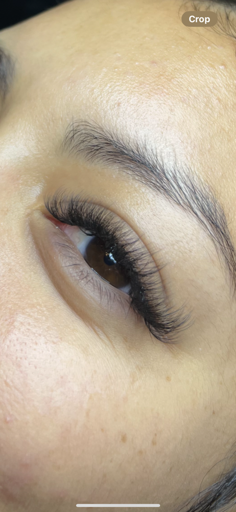 Hybrid Lash Fills