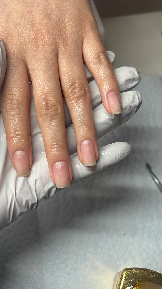 removals at urtechnxtdoor in Fairfax, VA