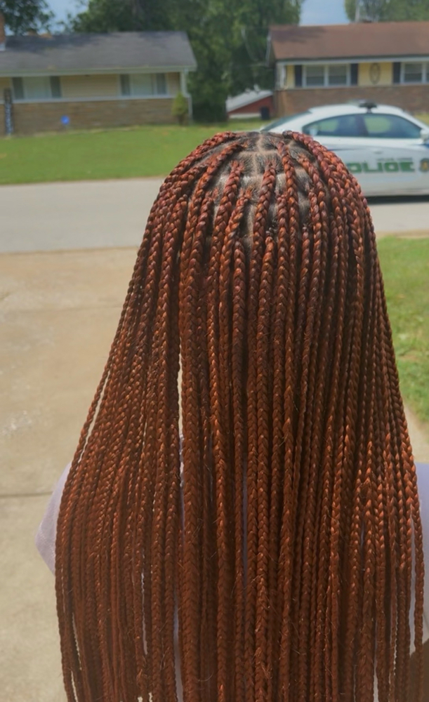 Knotless Braids (small/ Smedium ) at Stella.slayss in St. Peters, MO