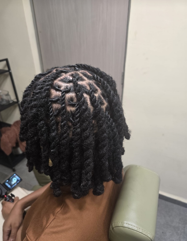 Retwist+ Two Strand Twists