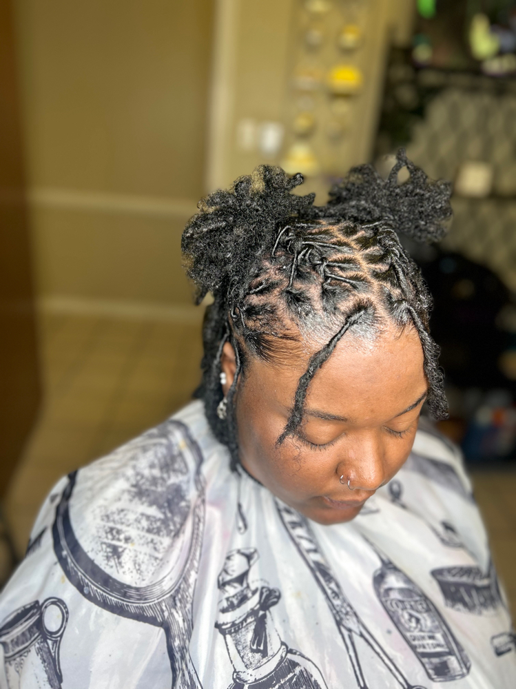 Starter Locs W Style