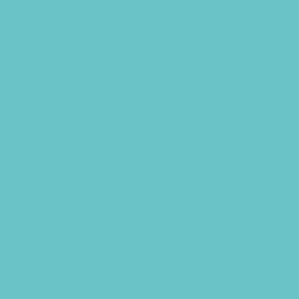 Classic Pedicure- Single Color