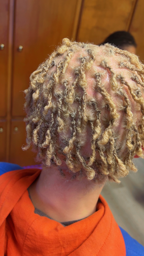 Start Locs at The Xperience Salon & Spa in Murfreesboro, TN