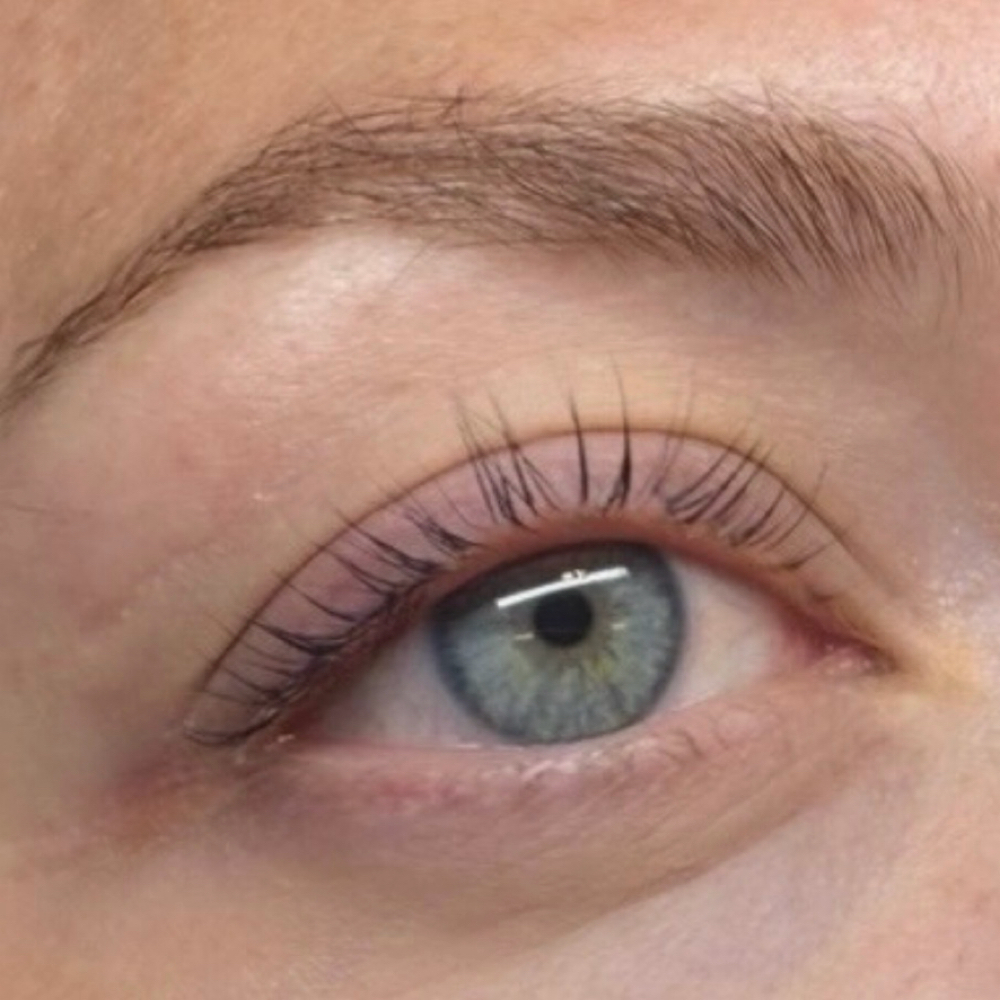 Korean Lash Lift (Emily-Kate) at Solo Collective Beauty Bar in McKinney, TX