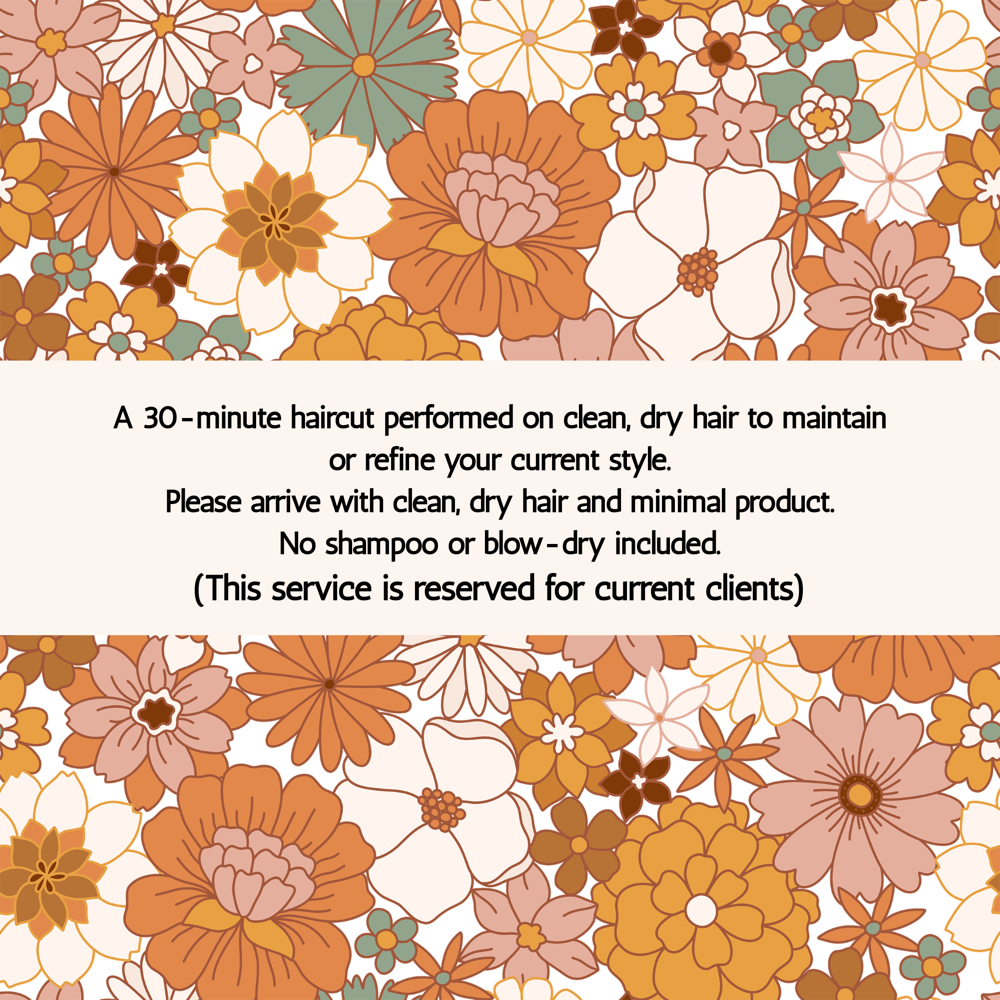 Dry Haircut - Existing Clients at Kyanna Lyn Hair Studio in Omaha, NE