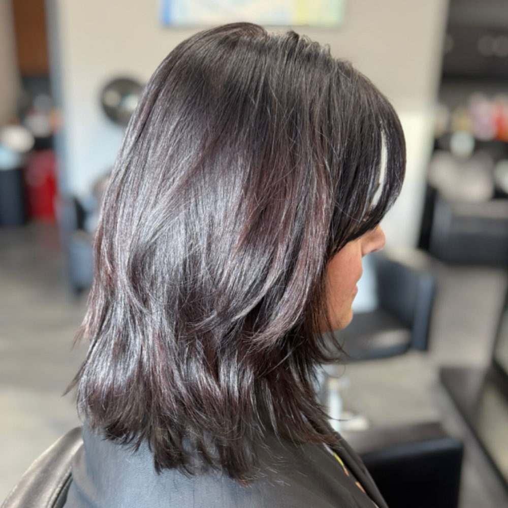 Toner Added To Any Color Service at Hair By Holly Pieper L.L.C in Ann Arbor, MI