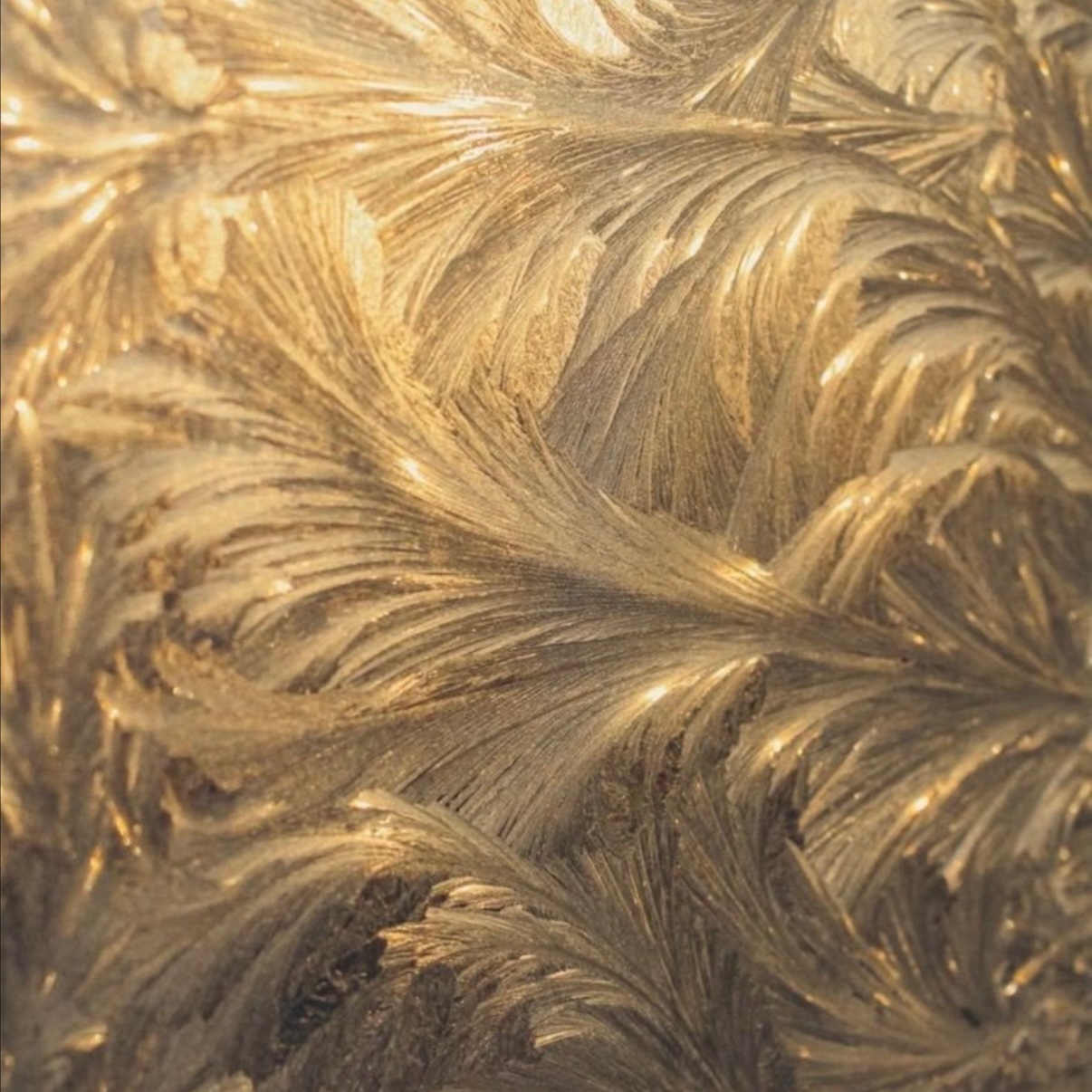 The Golden Muse Facial at Golden Muse Esthetics in Boise, ID