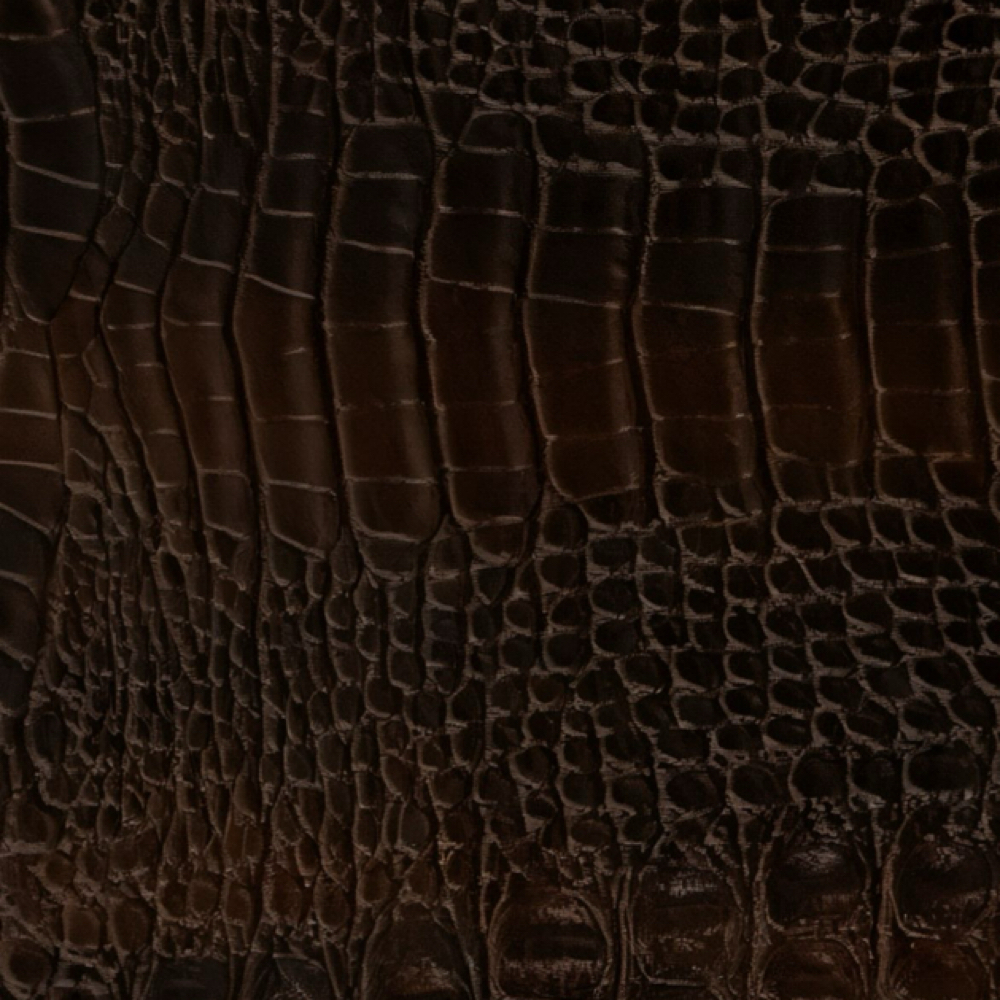 Elevate at The Salty Blonde Hair Salon in Beaufort, SC