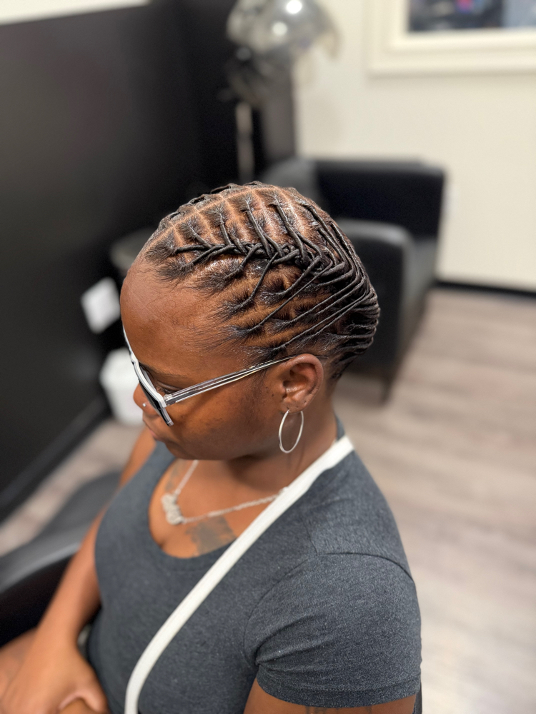 Traditional Starter Locs
