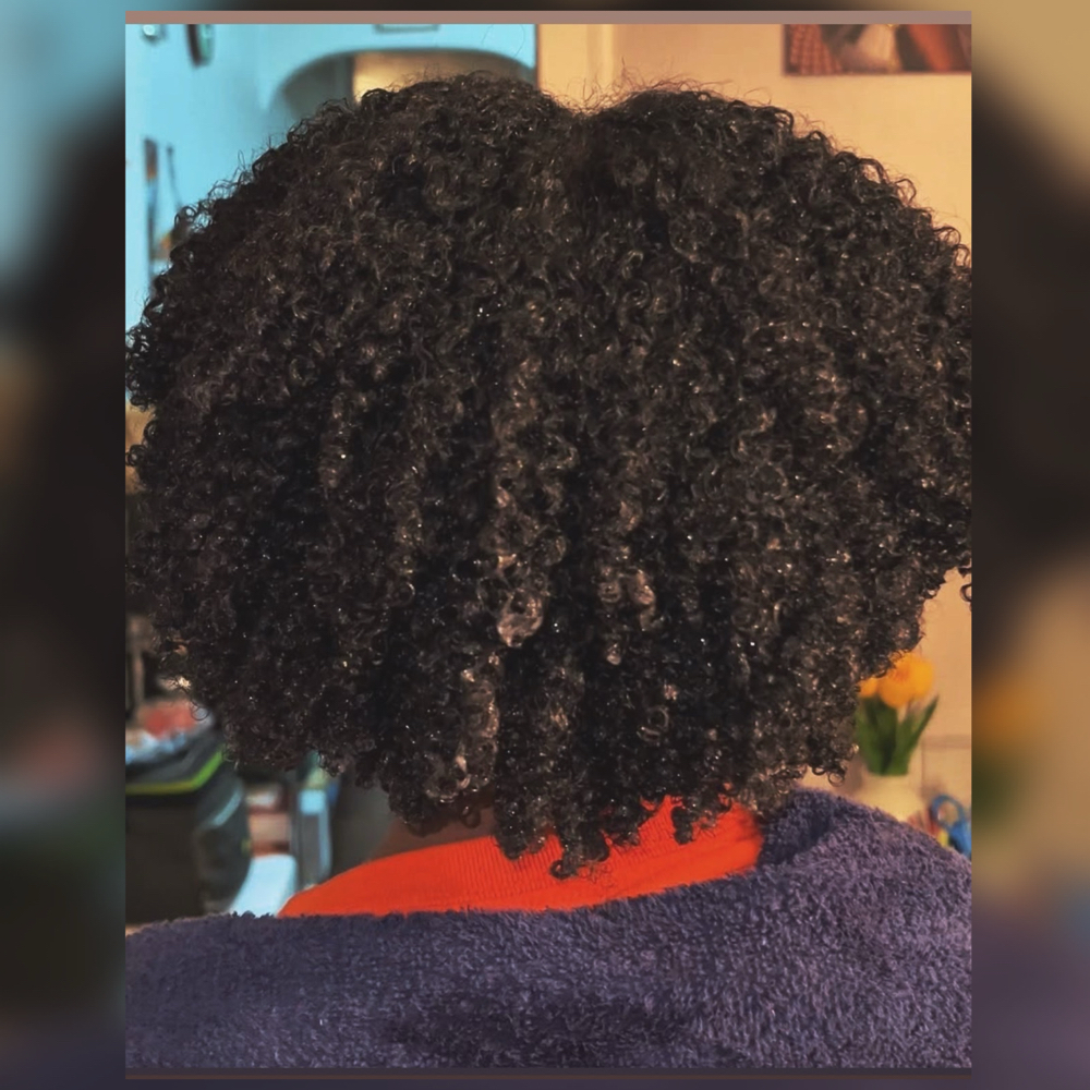 Shampoo, Cut, And Style