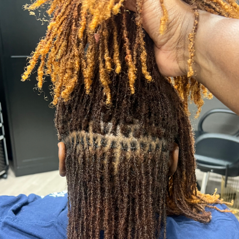 🌱Microloc Retie 6-8weeks