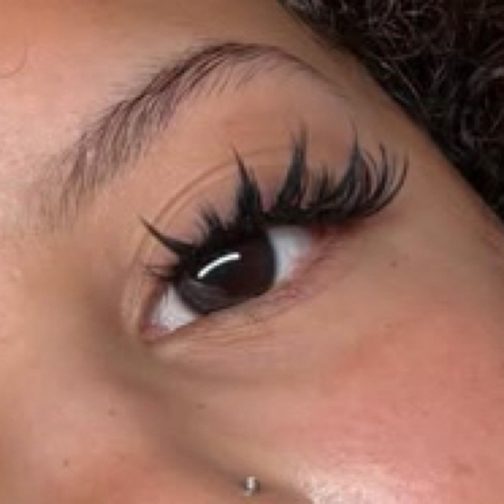 Removal at KissMyLash in Lakeland, FL