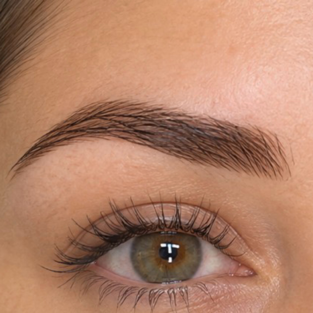 Eyebrow Tint at JHare Salon in PBG, FL