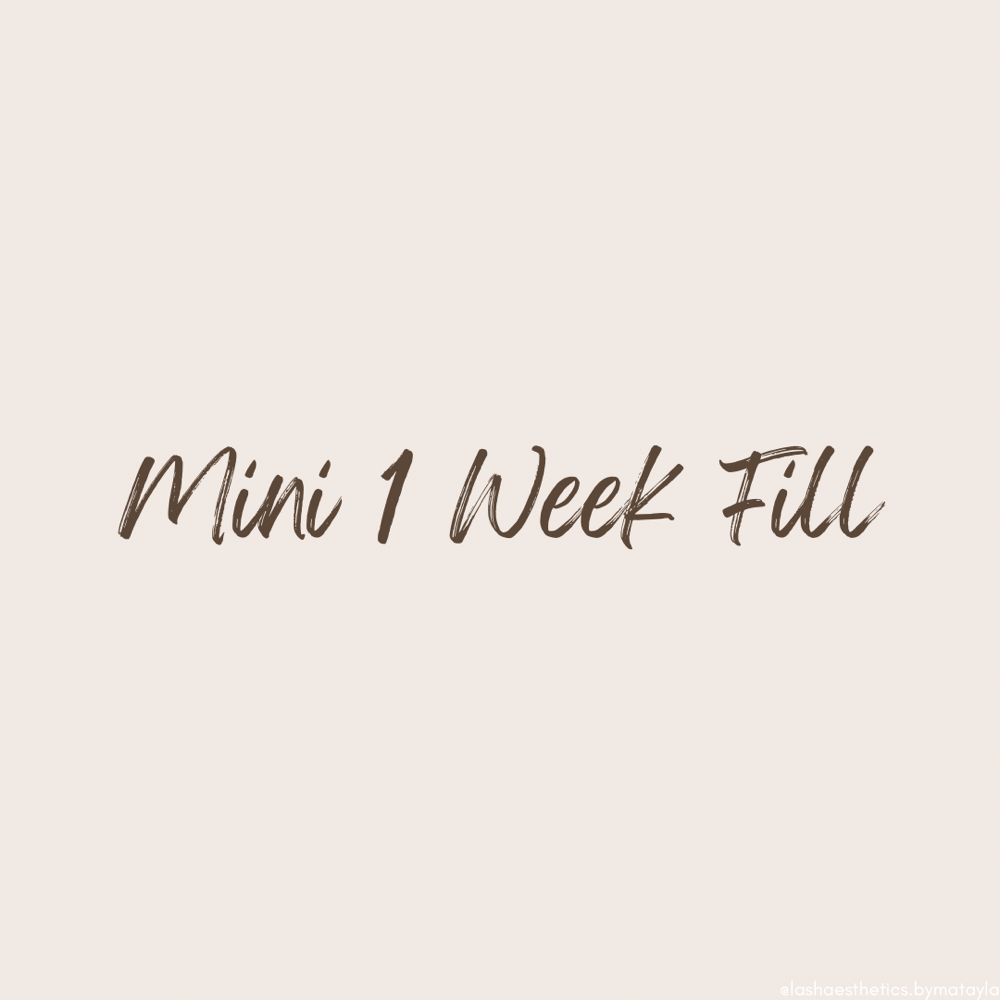 1 Week Mini Fill