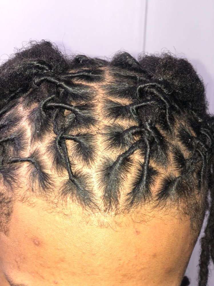 Locs retwist