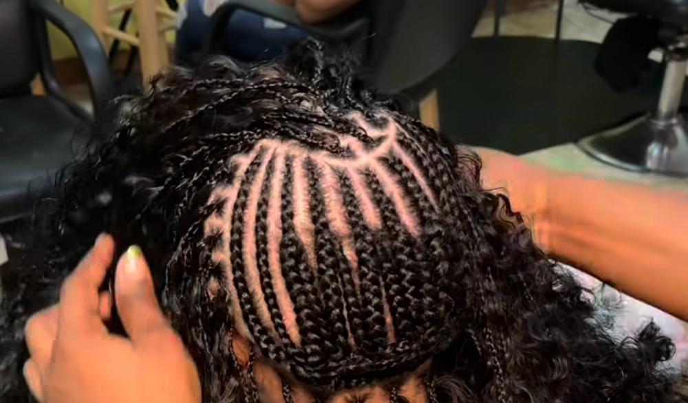 Curly Crochet Small Braids
