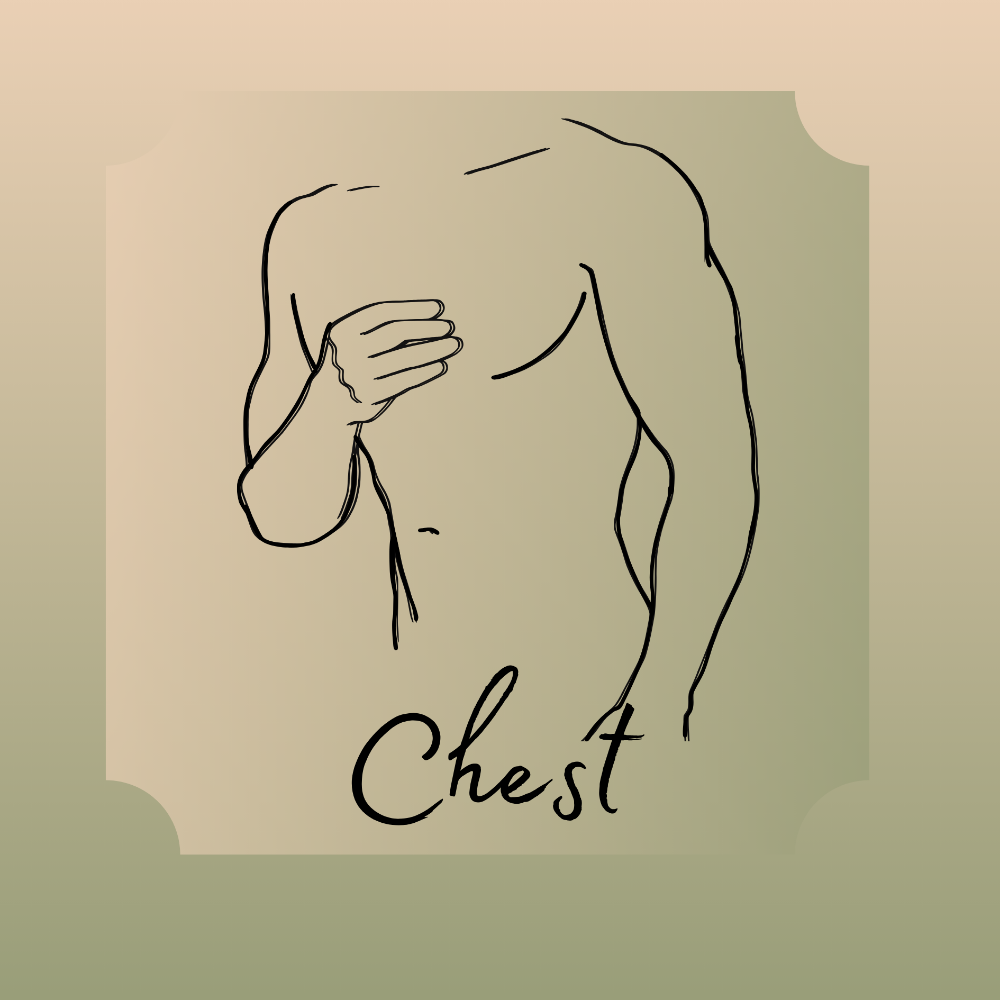 Chest