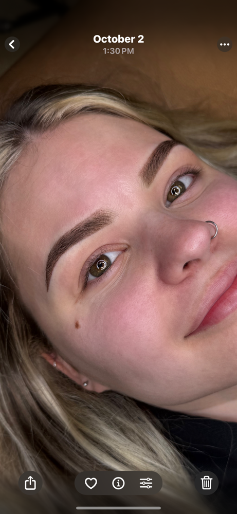 Ombré or Powder Brow