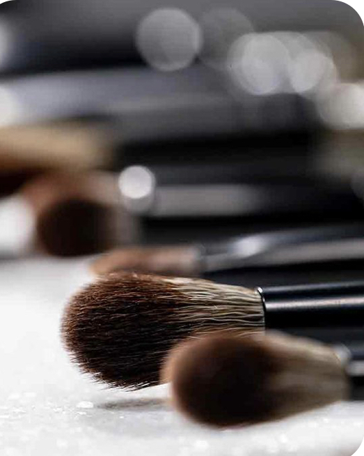 Makeup Application