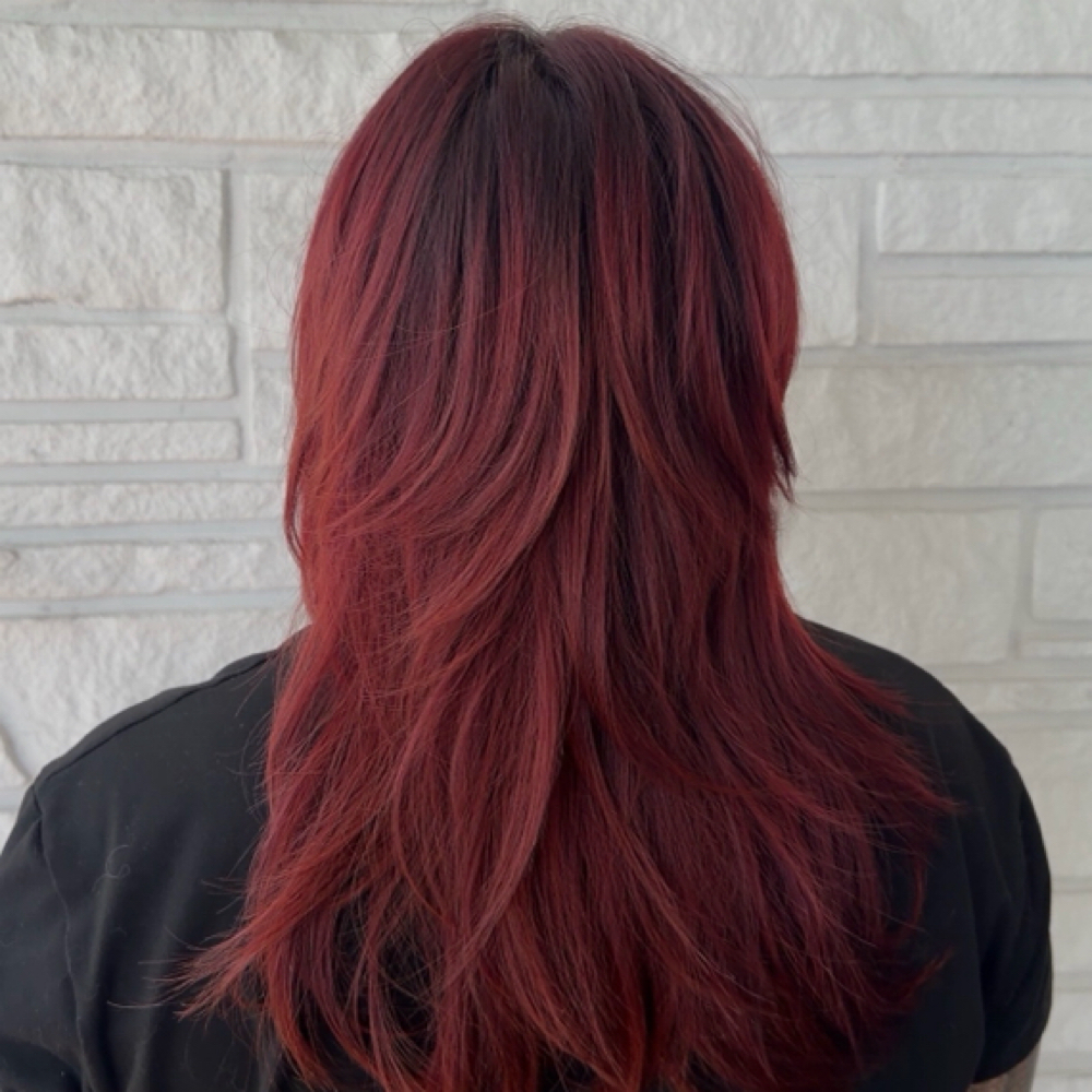 Basic Root Touch Up w/ Rebalance at Blendz by Benz in Vista, CA