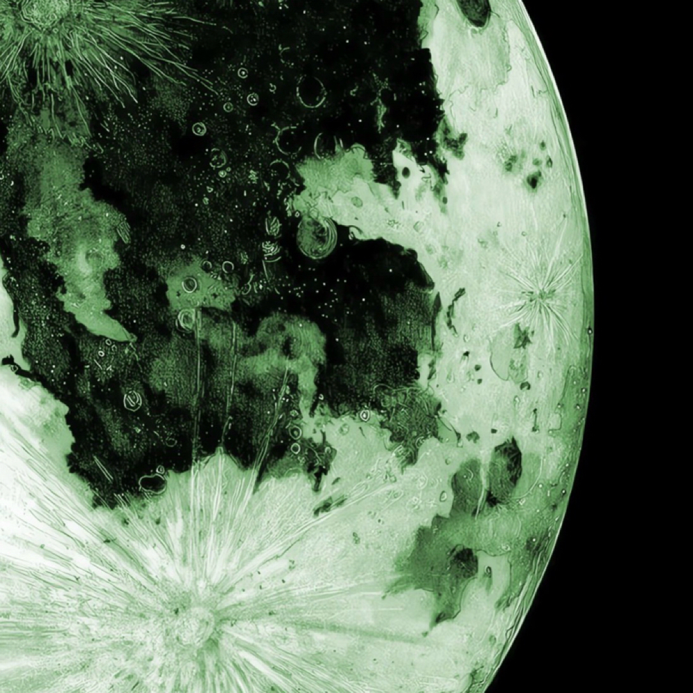 Brow Lamination + Wax at Alexxa Esthetic in Berkley, MI