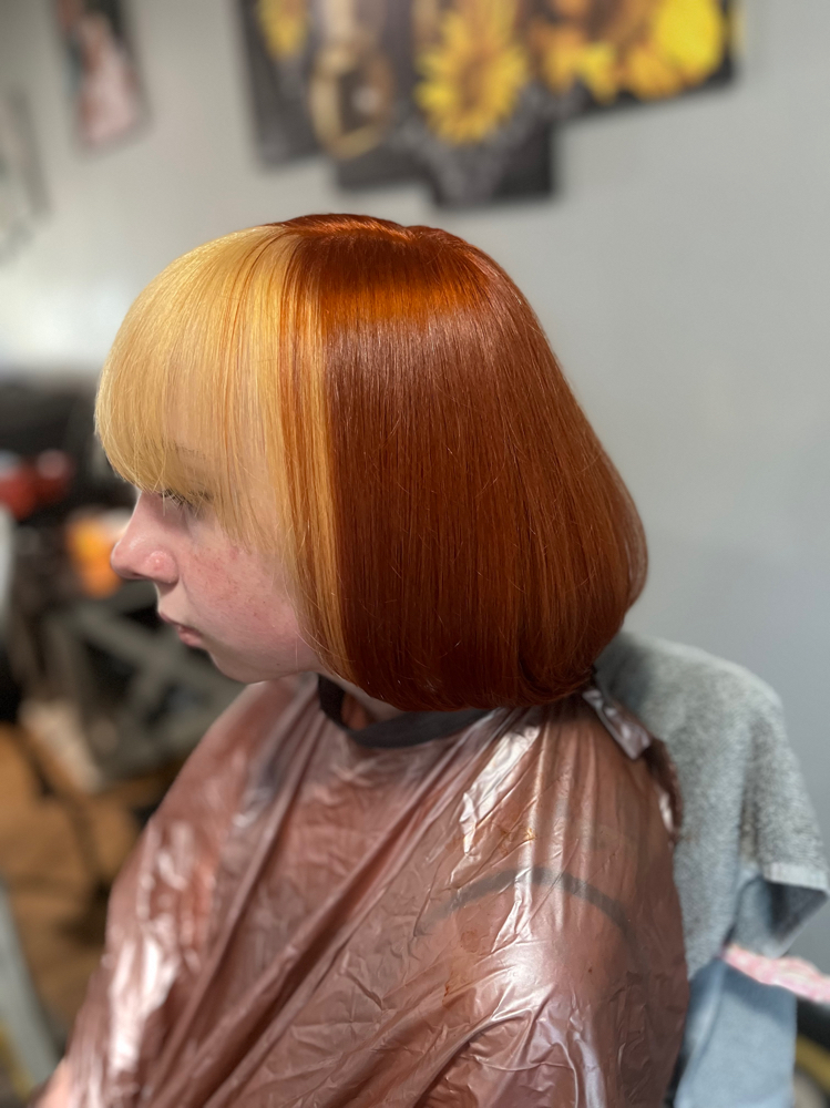 New Client Color Cut And Blow