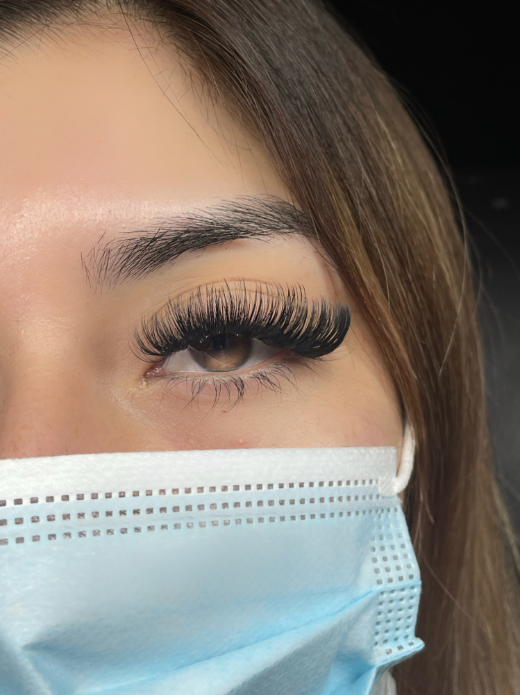 Volume Lashes