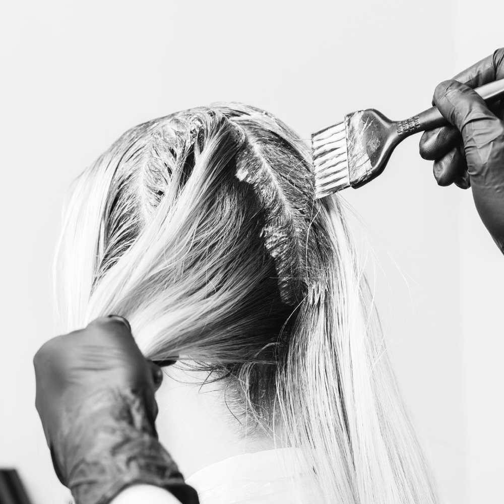 The Touch Up (Roots)
