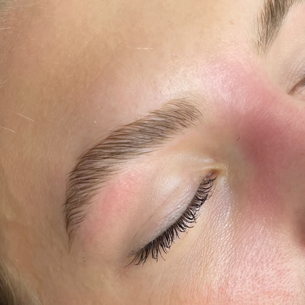 Brow Lamination (NO COLOR) at Exquisite Studios in Lady Lake, FL