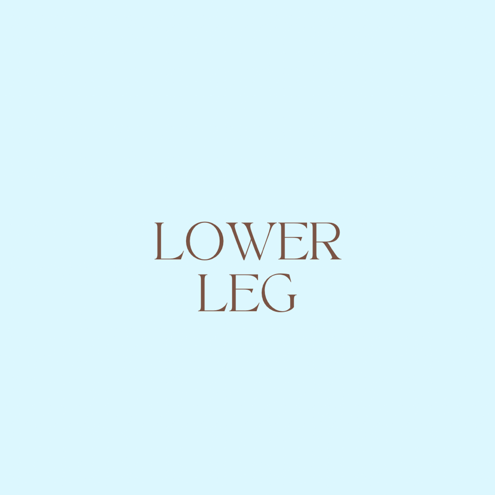 Lower Leg