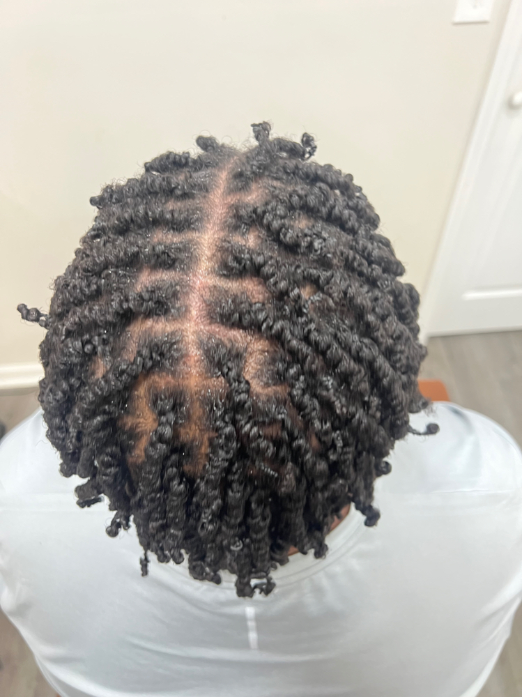 Two Strand Twist (small)