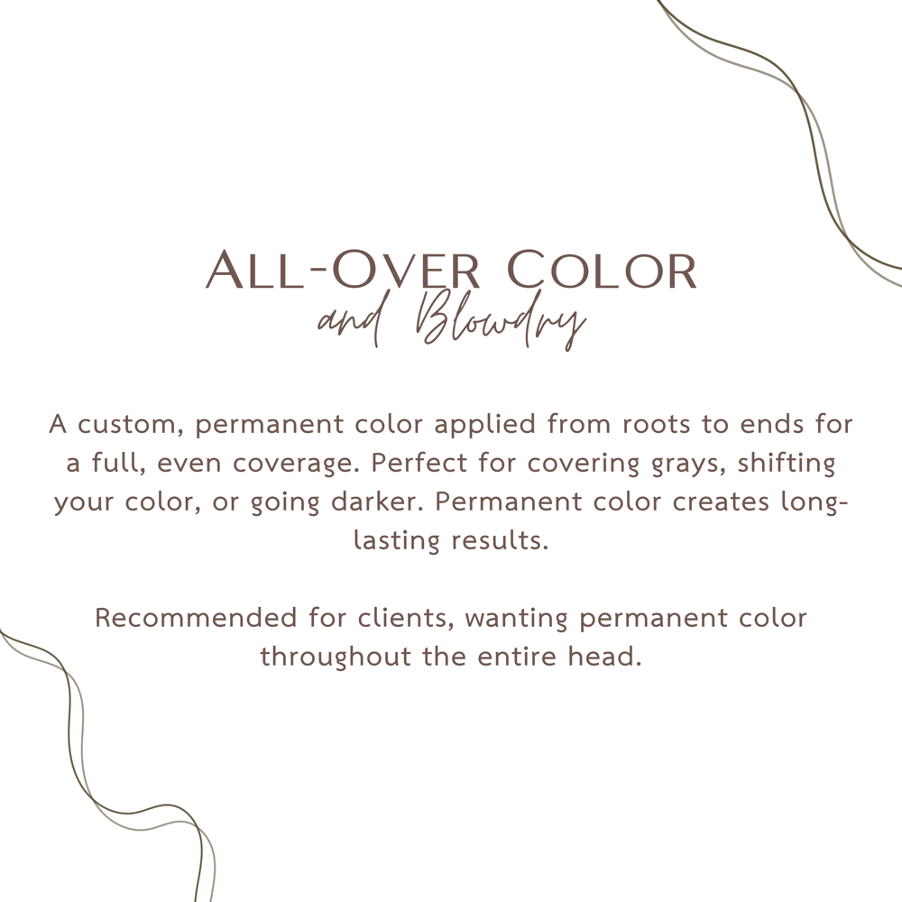 All-Over Color & Blowdry at Bloom by Rossy in South Elgin, IL