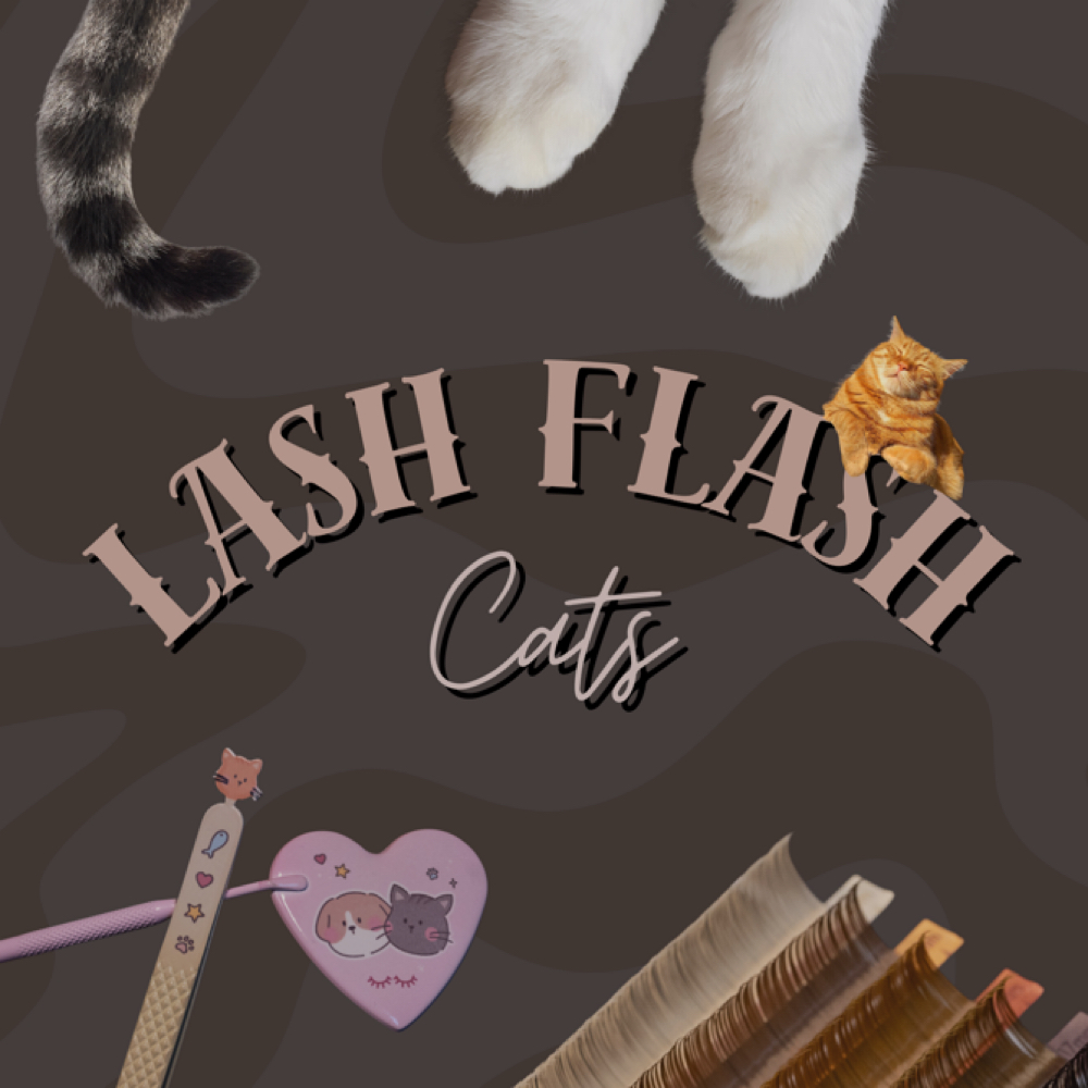 LASH FLASH - CATS at Neko Esthetics in Bedford, TX