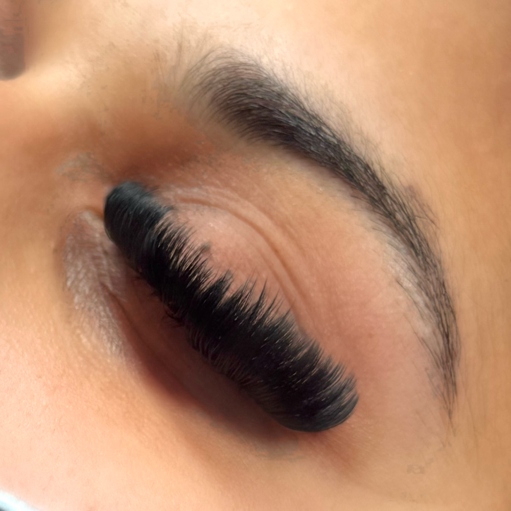 Mega Volume Lashes
