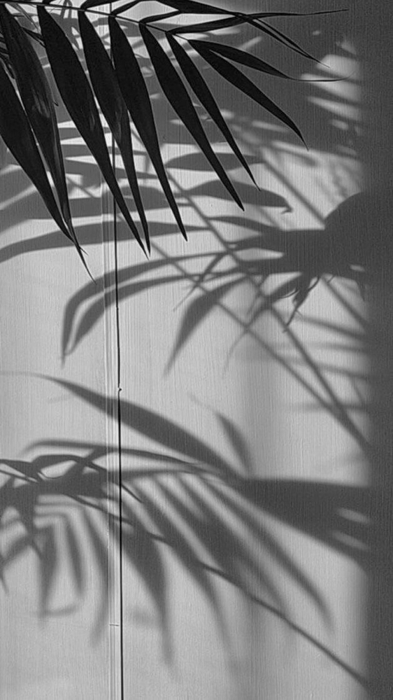 Lash Tint (upper + Lower)