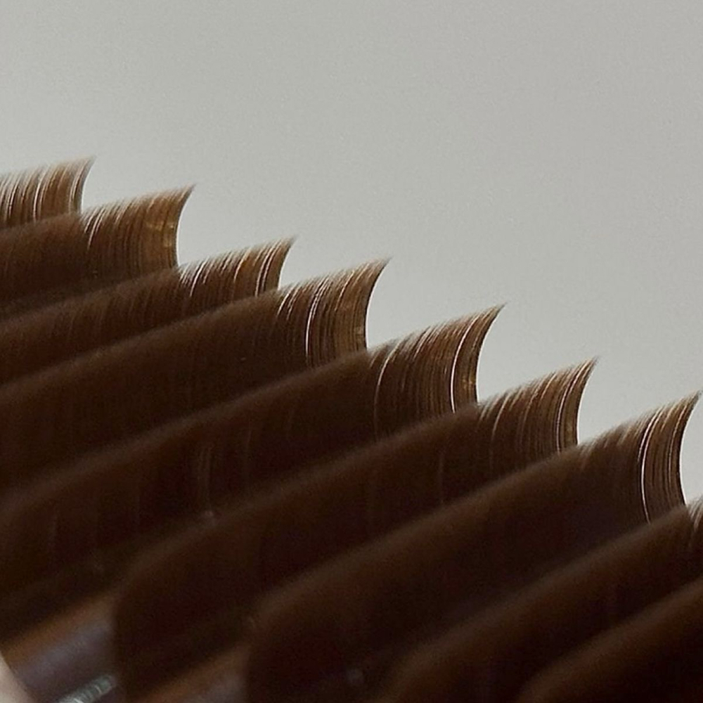 Brown Lashes