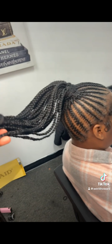 Braided Ponytail