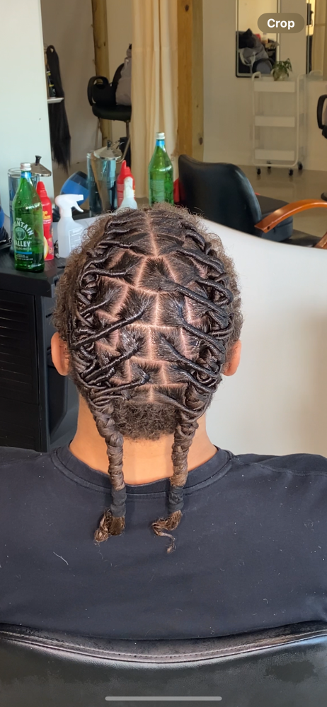 Starter Locs