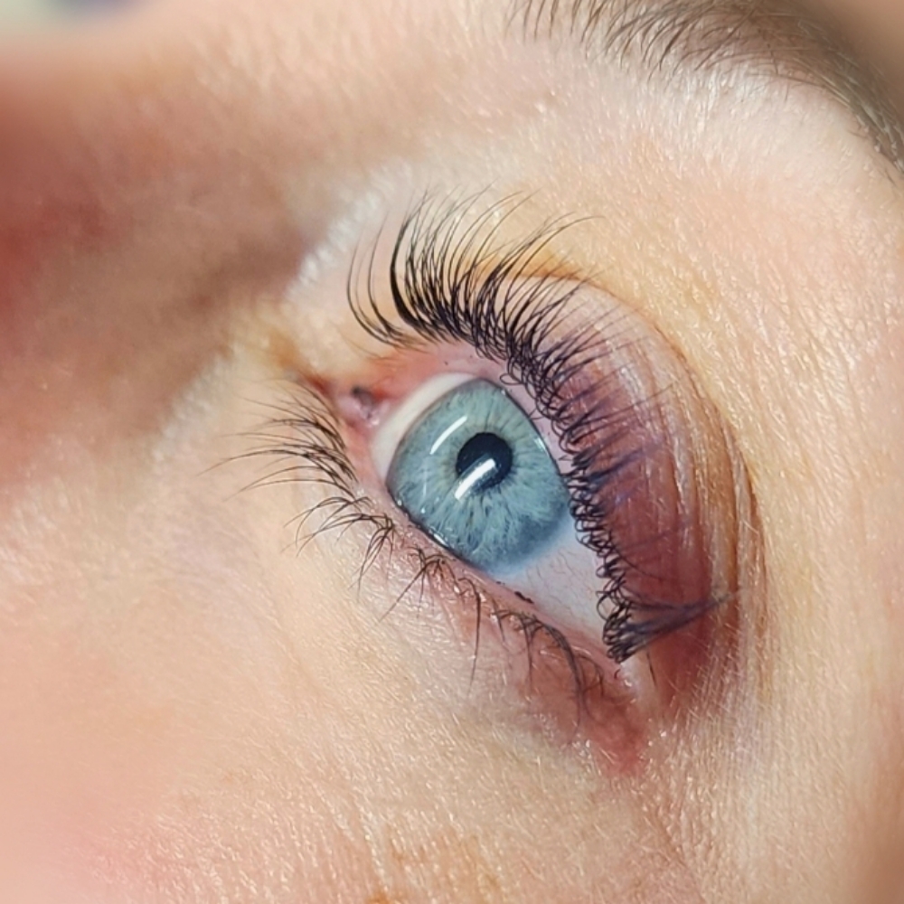 Lash Tint at Krystal Eyes in Overland Park, KS