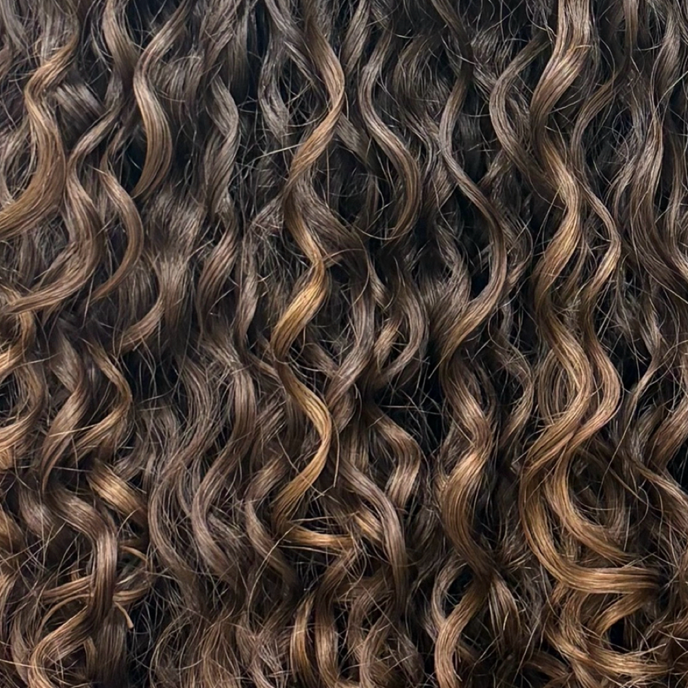 Root Touch Up at Jae Curl Studio in Sarasota, FL