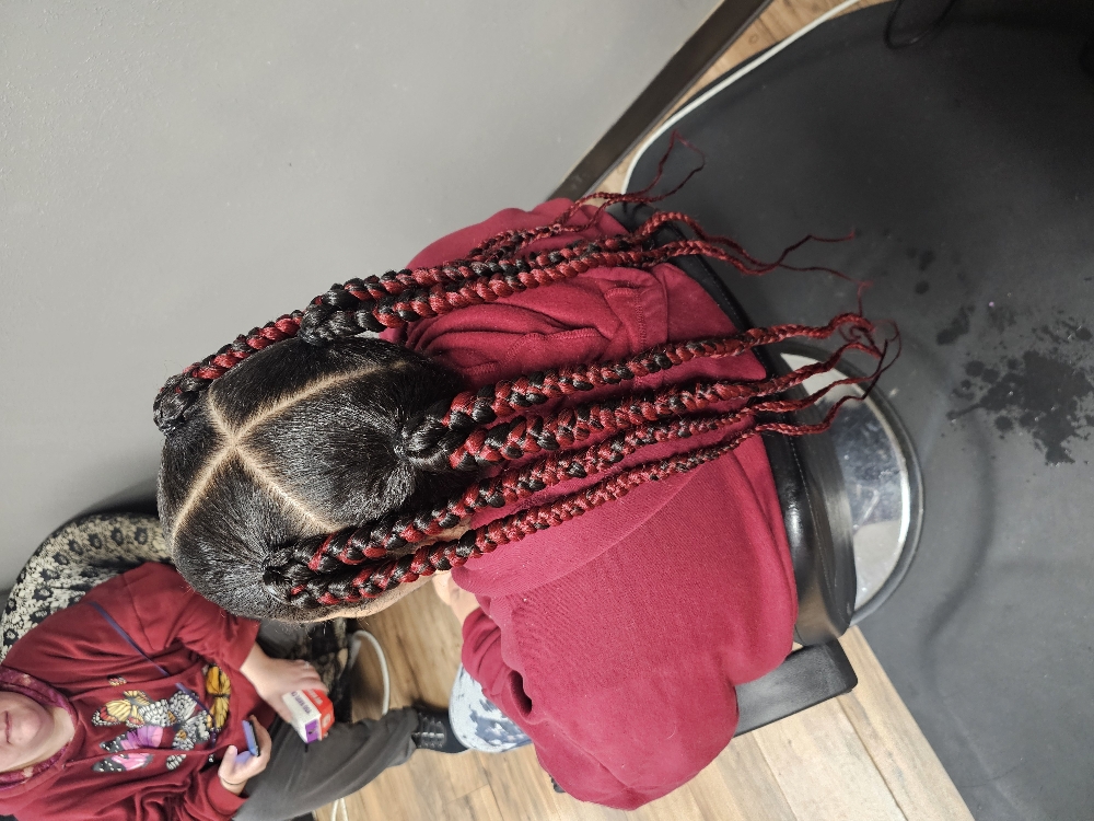 4 Double Braided Ponytails