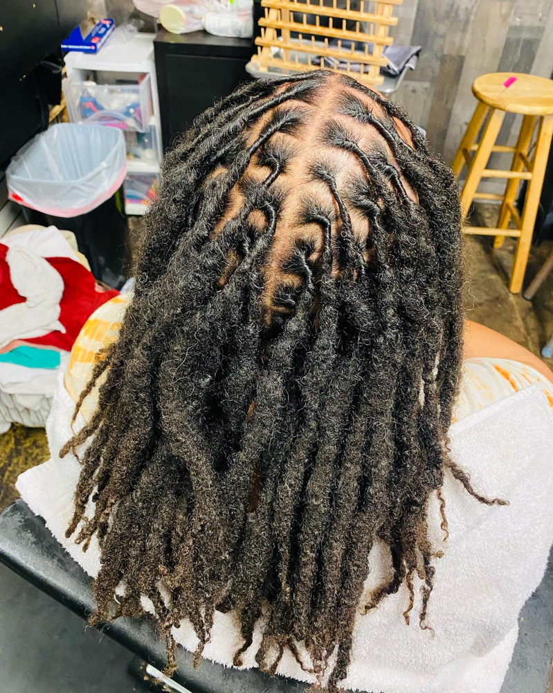 Locs Wash & Retwist Only