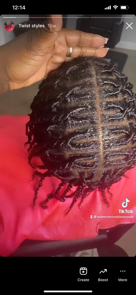 Natural Hair Twist