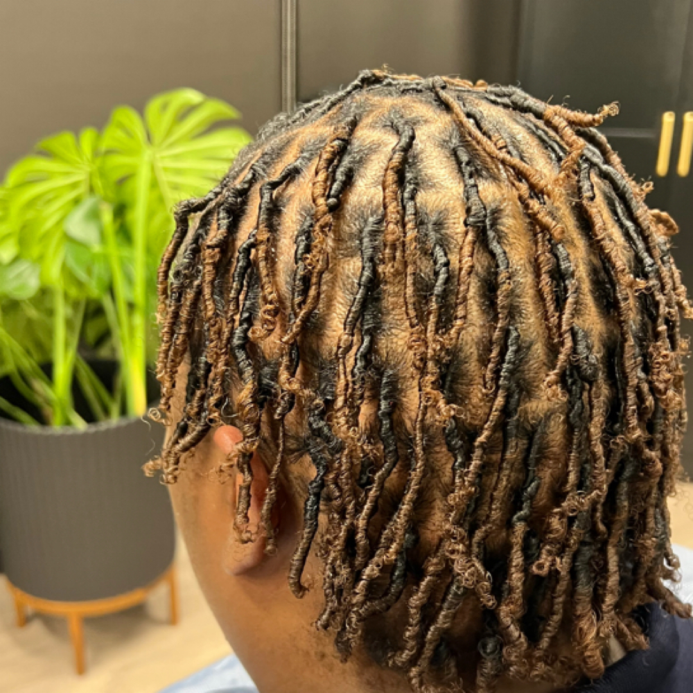 🌱Starter Locs