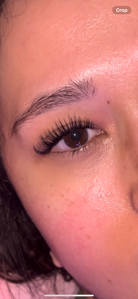 Wet Mascara Full Set