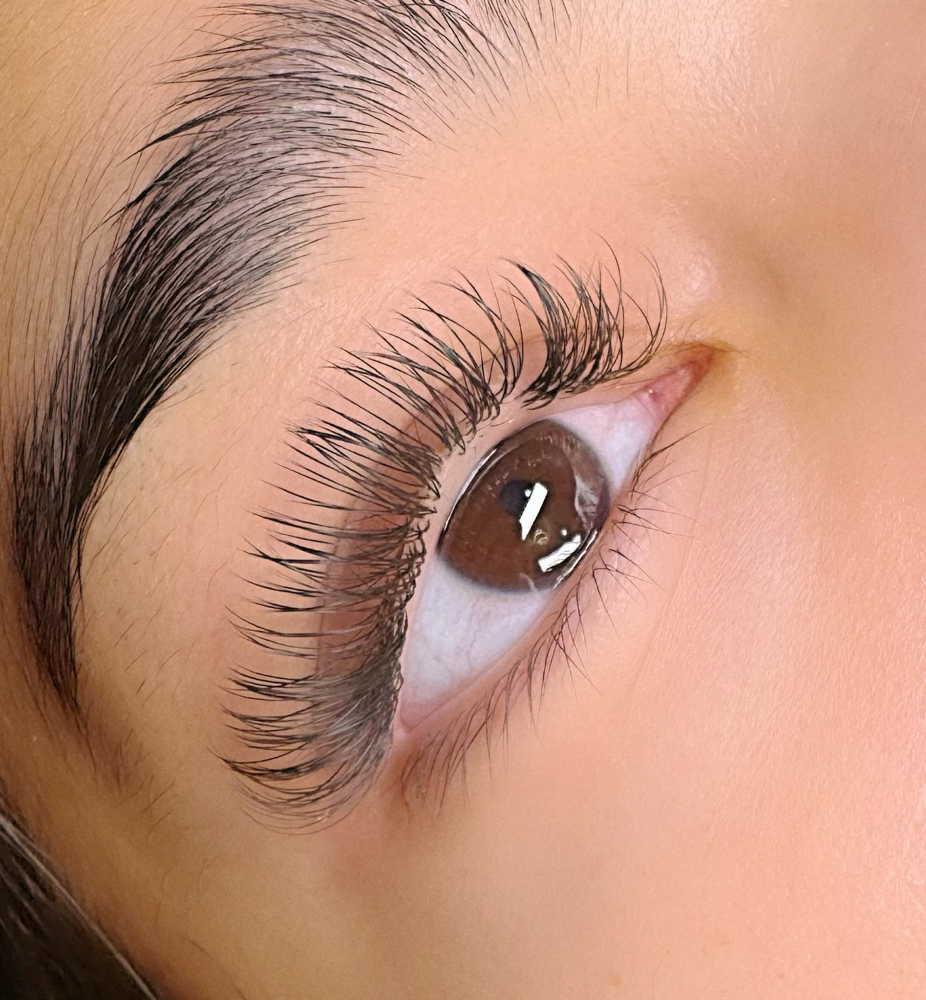 Classic Lashes