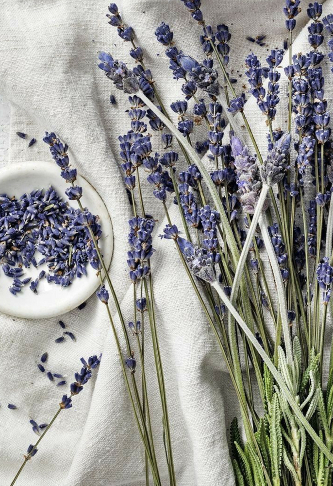 Luscious Lavender Facial