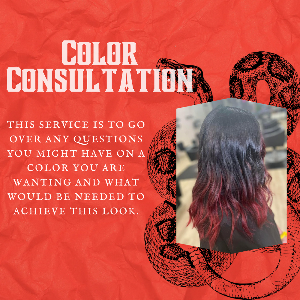 Color Consultation