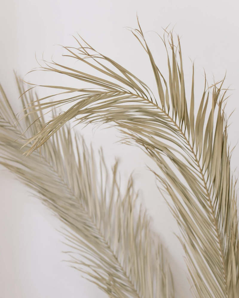 Express Skin Refresh Facial