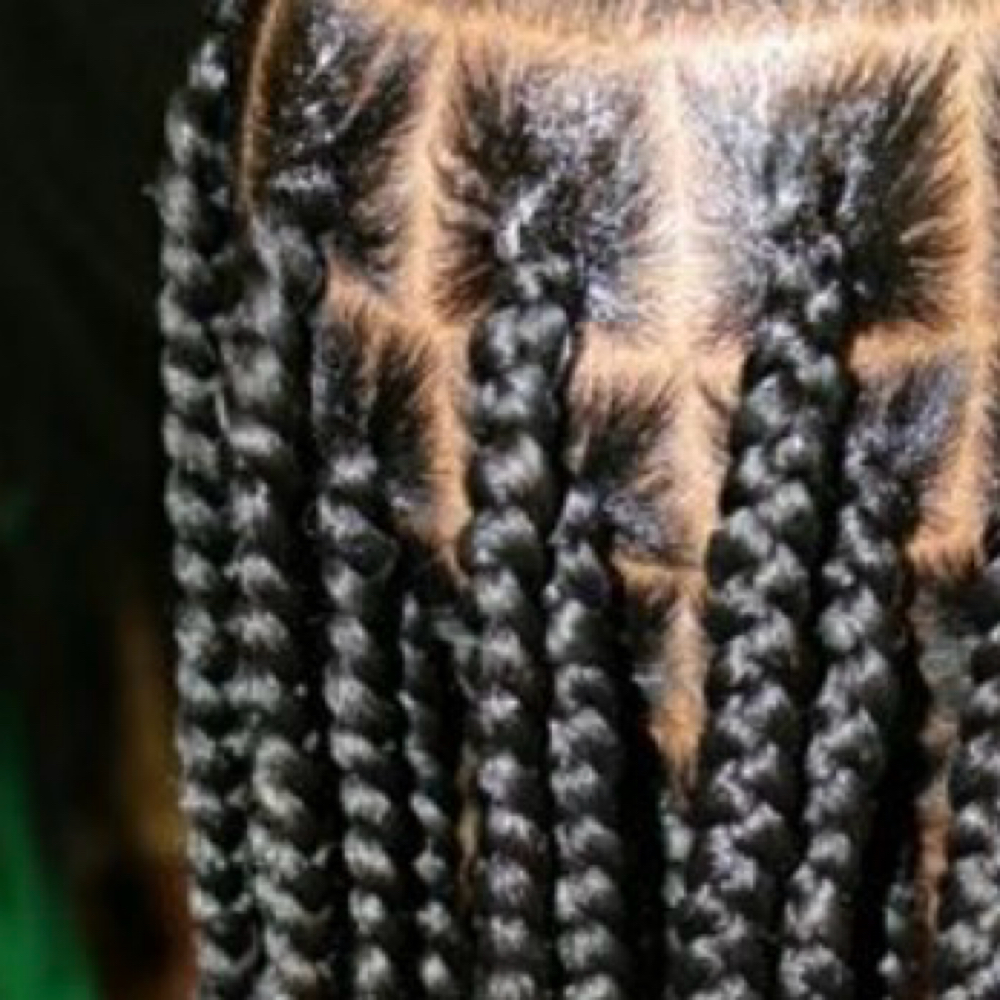 Large Braids (Pls Read B4 Booking) at Cedar & Silk in Alexandria, VA